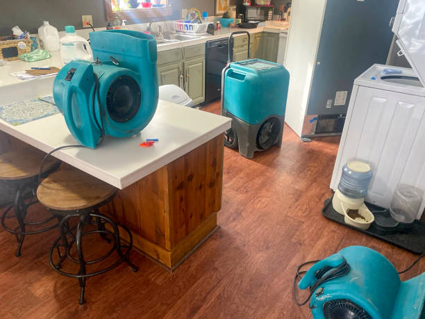 Best Mold removal after water damage  in Dayton, TX