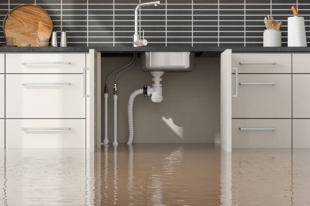 Best Water damage cleanup near me  in Dayton, TX