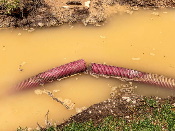 Best Water damage restoration process  in Dayton, TX