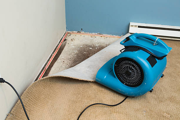 Best Water damage restoration near me  in Dayton, TX
